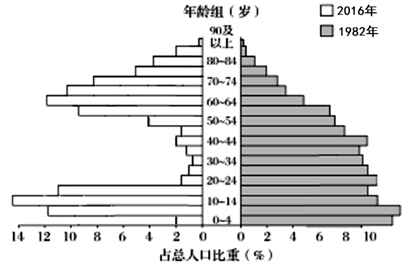 人口金字塔分析_人口金字塔(2)