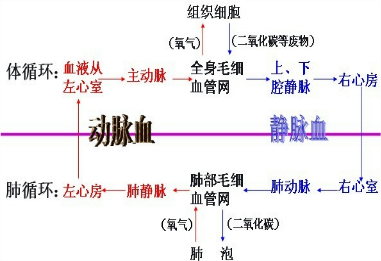 3916f376.png