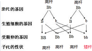 46968b31.png
