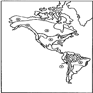 北美洲地图手绘简图图片