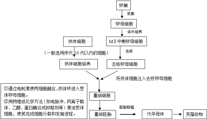 过程(以克隆高产奶牛为例):分析1,体细胞核移植的难度明显高于胚胎