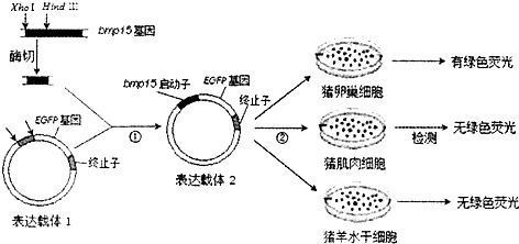 人口过程是研究_人口普查(2)