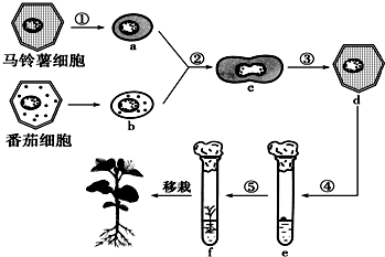 8根据植物体细胞杂交技术流程图,回答相关问题