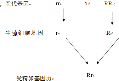 色列多少人口_夏朝有多少人口(3)