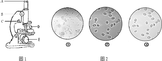 6小华同学使用显微镜观察酵母菌临时装片,看到不同视野请回答