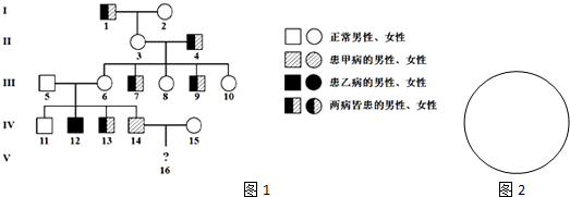 (1)如果只考虑甲种遗传病-6的基因型xaxa.