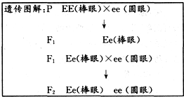 眼色简谱_林宥嘉眼色简谱(2)