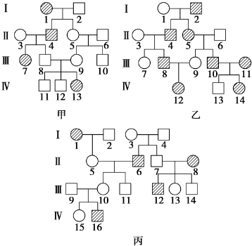 常染色体显性遗传图谱图片
