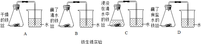 为探究铁生锈的原因化学兴趣小组的同学进行了如图所示的四个实验实验