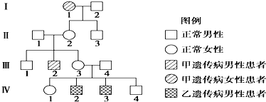 12如圖為某家族甲乙兩種遺傳病的系譜圖甲遺傳病由一對等位基因aa控制