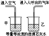 吸入的空气和呼出的气体有什么不同 a,氧气 b,二氧化碳 c,水蒸气 d