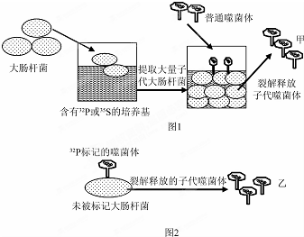 2图1图2表示t2噬菌体侵染大肠杆菌的相关实验据图分析某同学总结m六个