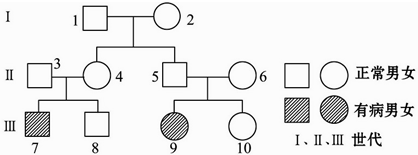 白化病遗传系谱图分析图片