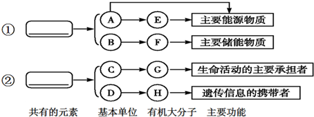 高中生物 題目詳情(1)在圖中