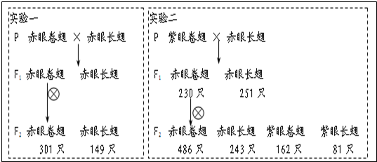 眼色简谱_林宥嘉眼色简谱