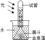 在如图所示的装置中放有金鱼藻用该装置可以收集到某种气体