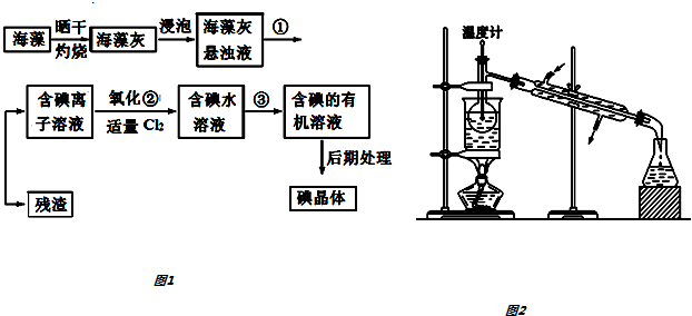 海水提碘流程图及解析图片