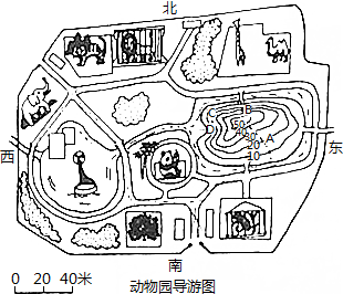 下面是一张动物园的导游图你一定喜欢请你给我们带路一起去玩玩吧!