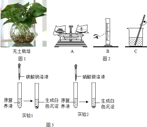 无土栽培是利用营养液栽培作物的一种方法(如图1)