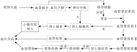 血压测量原理图解图片