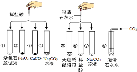 实验小组研究盐酸和氢氧化钙两种物质的化学性质,做了如图所示的8个