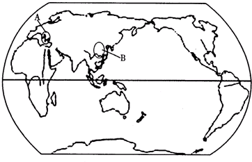 53168924.png