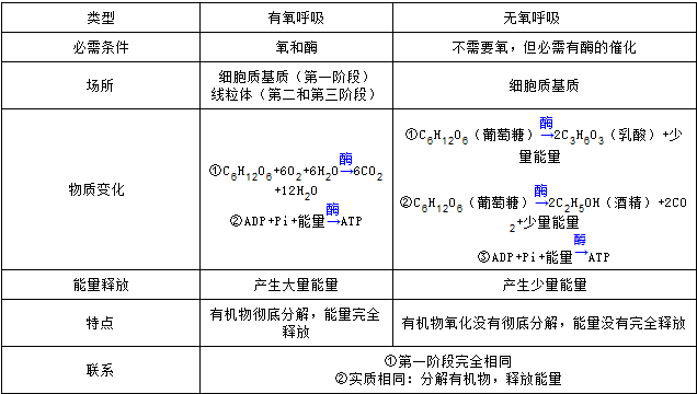 3,有氧呼吸和无氧呼吸的比较:2,分泌蛋白合成与分泌过程:核糖体合成