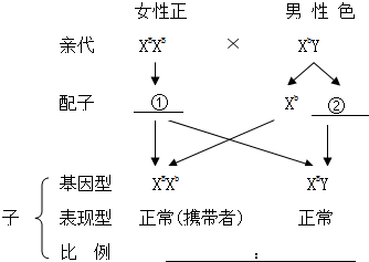 (1)請完善下面的遺傳圖解:(攜帶者)色盲正常色盲表現型正常正常基因型