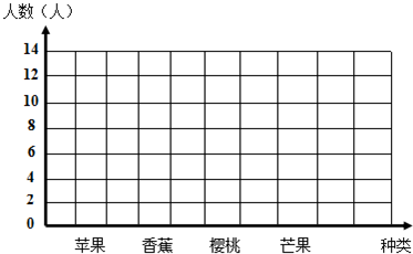 小学生水果统计表图片