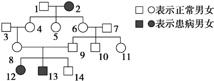 白化病遗传系谱图分析图片