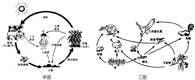 11甲图为某农业生态系统乙图为某草原生态系统依据图示分析问题