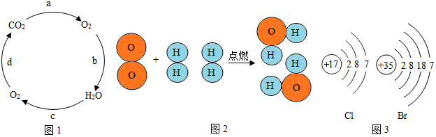 溴原子结构示意图图片