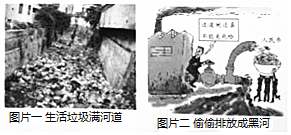 8e2f5293.png