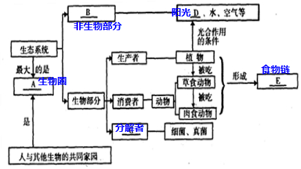 解答解:最大的生态系统是a生物圈,生态系统包括b非生物部分和生物部分