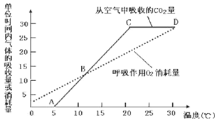 两大人口问题和影响_人口和健康问题图片(3)