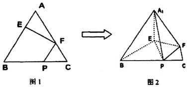 3f3cff64.png