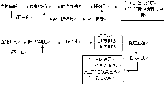 血糖调节的思维导图图片