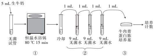 稀释涂布法图片