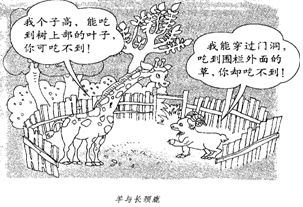 90f5d526.png