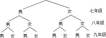 ��Ӣ�ҽ���