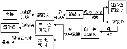 卤块主要成分为氯化镁,含少量fecl