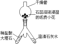 ��Ӣ�ҽ���