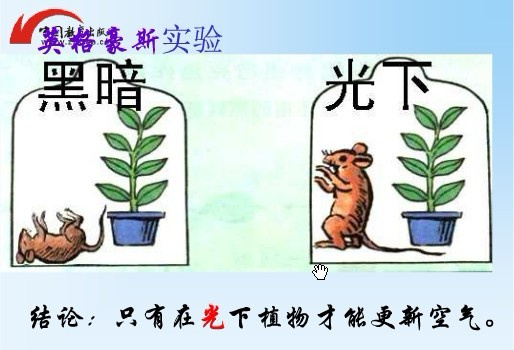 荷兰科学家英格豪斯通过实验证明绿色植物只有在