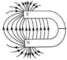 如图所示,将一枚大头针放在马蹄形磁铁的内侧,受磁场力的作用,大头针
