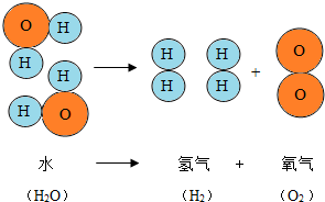 氢气的离子结构示意图图片