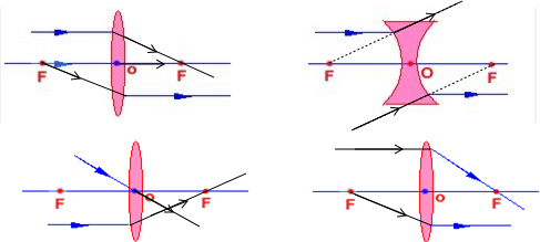 如图所示(2)平行于主光轴的光线经凹透镜折射后,其折射光线的反向