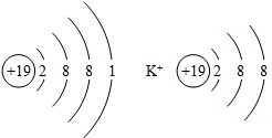 (2013瀋陽)分析鉀原子,鉀離子的結構示意圖,下列說法正確的是( )