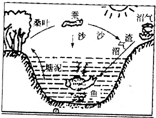 基塘农业简易图图片