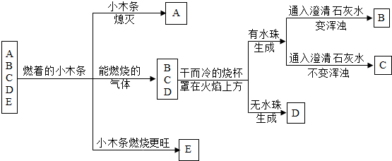 e五種氣體.它們分別是氧氣.氫氣.一氧化碳.二氧化碳.甲烷中的一種.