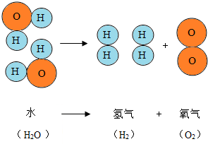 ①水是由氢,氧两种元素组成的;②一个水分子是由两个氢原子和一个氧